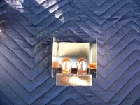 Bulbs (Small).webp