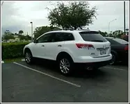166076476165_290.webp