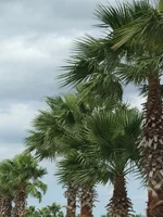 DSCF1951.webp