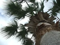 DSCF1959.webp