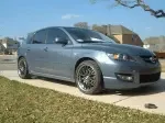 Falken_1.webp