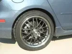 Falken_3.webp