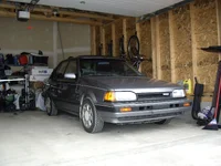 IMGP0440.webp