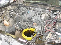 DSC09454.webp
