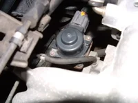 egr04.webp