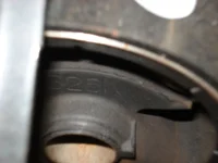 Side Torn.webp