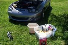 000_4804.webp
