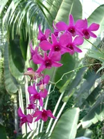 DSCF0136.webp