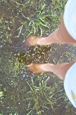 water.webp