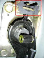 BoB0005.webp