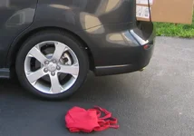 little_oscar_may_14_2007_0021 edited 2.webp