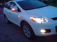 DSC01334.webp