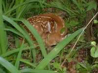 DSCF0003.webp