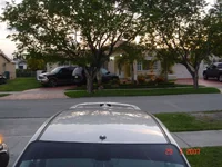 DSC01830.webp