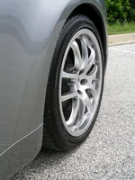 Adam's pic's 361.webp