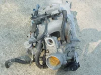 DSC00033.webp