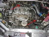 DSC0009.webp
