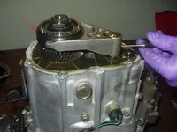 pic1.webp