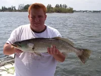 Fish!.webp