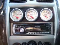 gaugepanel.webp