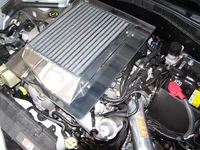 100_1335.webp