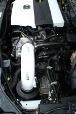 100_0251.webp
