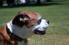 Lou 019 (Medium).webp