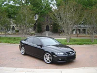 recent pics 028.webp