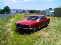 07-06-07_1204.webp