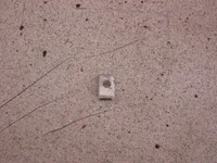 DSCN4893.webp