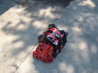 DSCF0804.webp