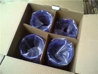 cel pic.webp