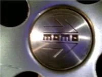 cel pic4.webp