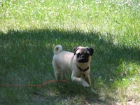 IMG_8824.webp