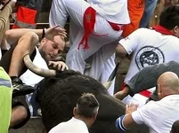 gore.webp
