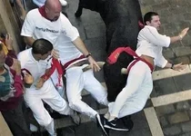 Bulls.webp