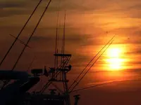 P1050519.webp