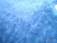 DSCN2216.webp