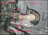 CKSP1_edited.webp