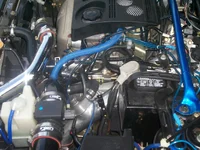 100_1600.webp