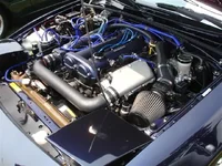 DSC01895 (Small).webp