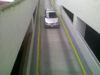alpha in the garage.webp
