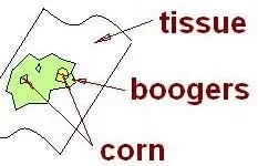 corn_SNOTS.webp