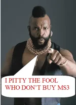 I PITTY THE FOOL.webp