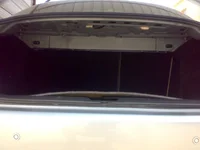 trunk0.webp