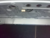 trunk 1.webp