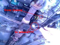 mistery tranny plug.webp
