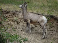 DSC02892.webp