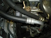 DSC02536.webp