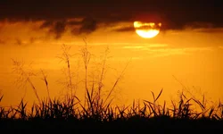 DSC021122.webp DSC021122.webp